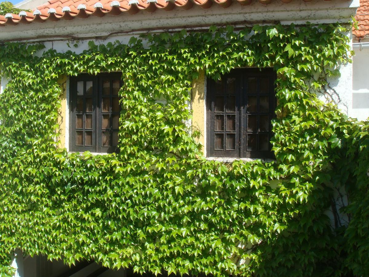 Travelers By Rio Natural Vila Nova de Milfontes Extérieur photo